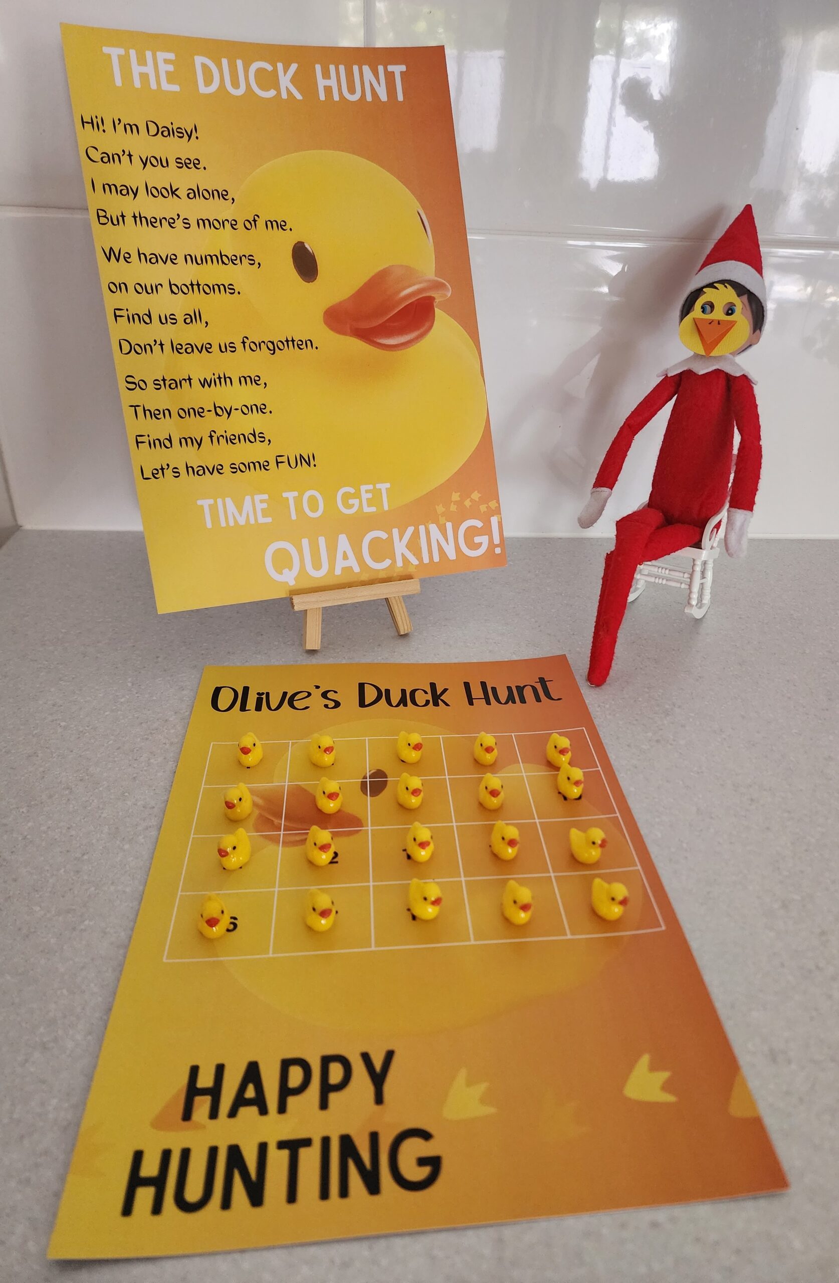20 Duck scene - full board