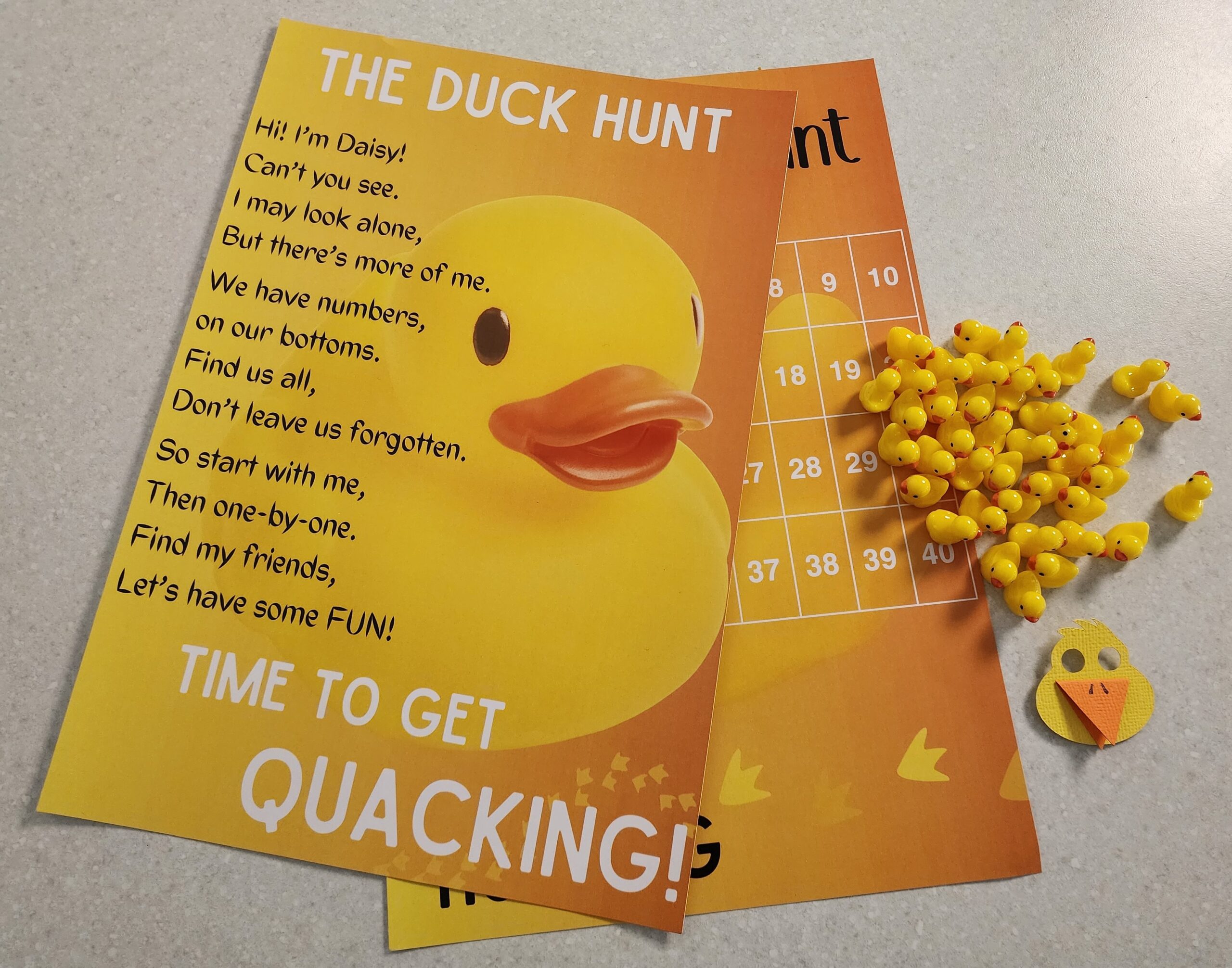 40 - Duck scene - what you get