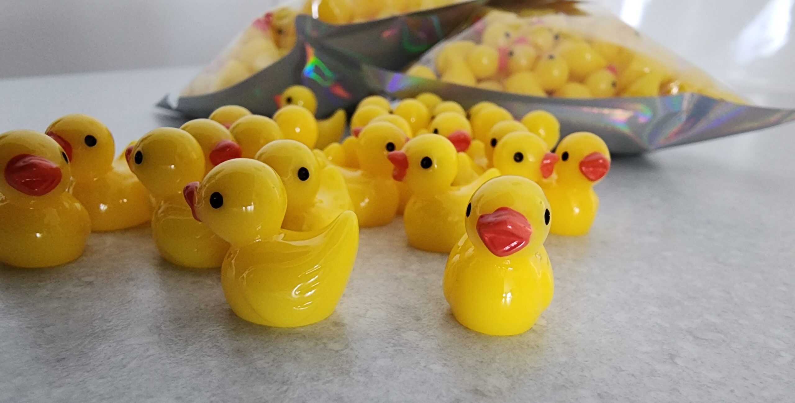 ALL - Ducks - close up