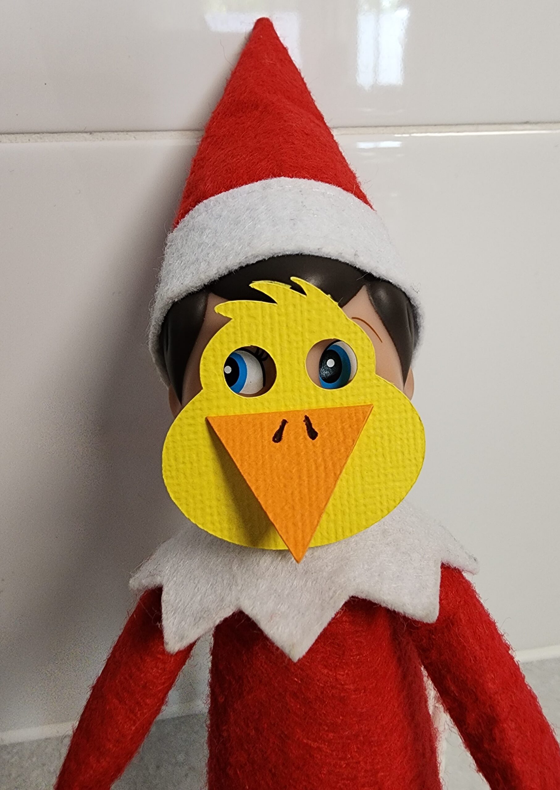 ALL - Ducks - mask